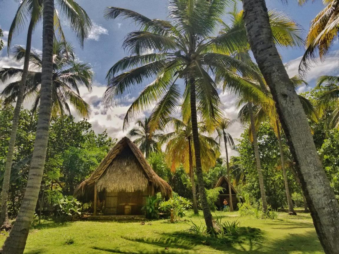 La Sirena Eco Hotel & Retreat Palomino Exterior photo