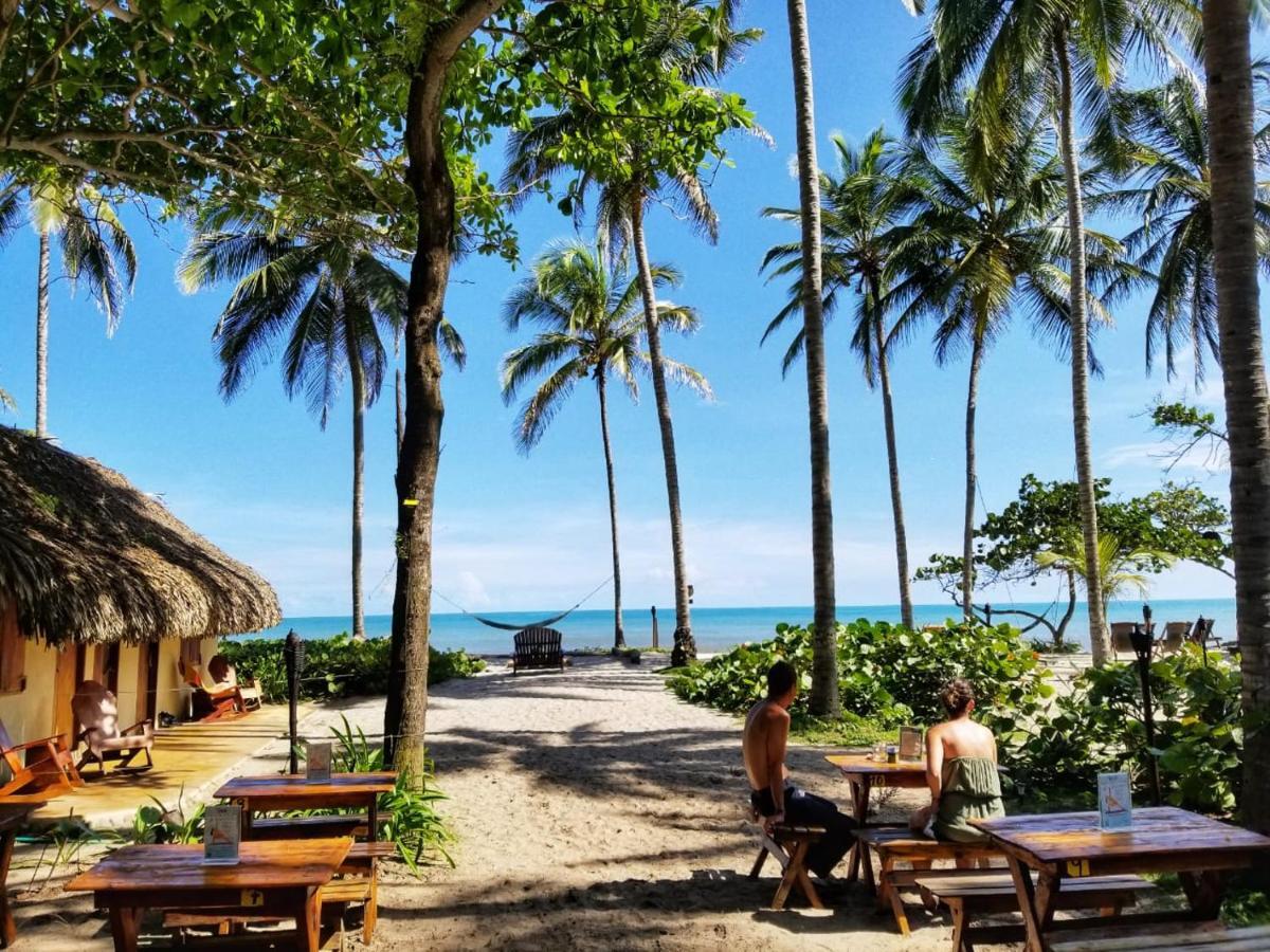 La Sirena Eco Hotel & Retreat Palomino Exterior photo