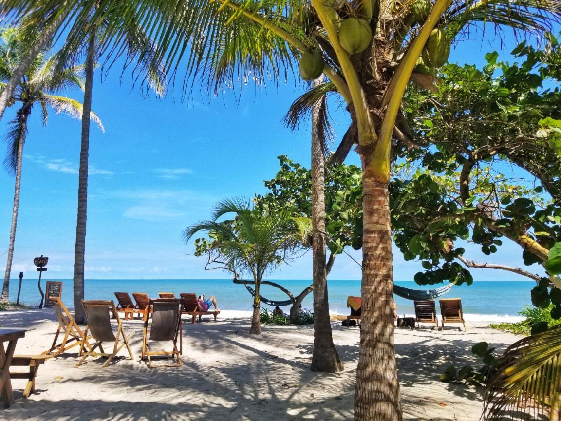La Sirena Eco Hotel & Retreat Palomino Exterior photo